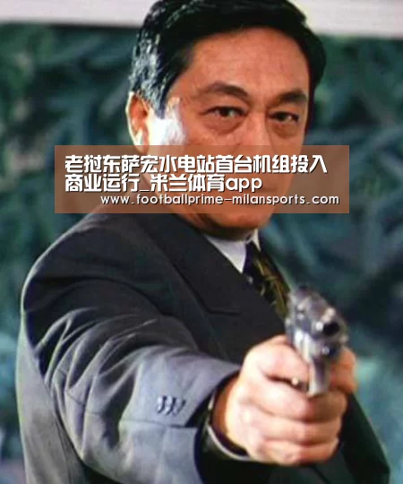 老挝东萨宏水电站首台机组投入商业运行_米兰体育app