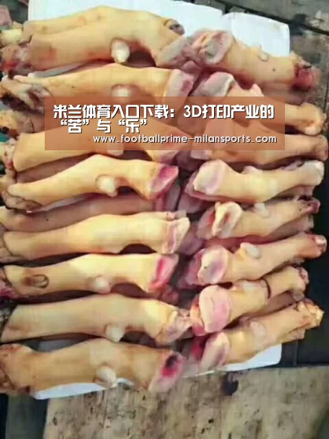 米兰体育入口下载:3D打印产业的“苦”与“乐”(图3) 米兰app下载